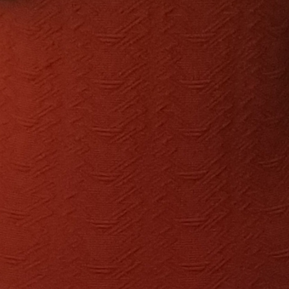 H&M Rust Crop Top - Picture 2 of 2